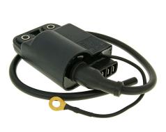 CDI unit with ignition coil