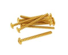 Fairing screws anodized aluminum gold - set of 12 pcs - M5x50
