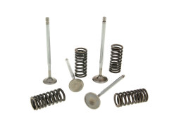 Cylinder head valves Malossi racing with springs