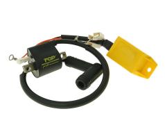 CDI unit with ignition coil Top Performances