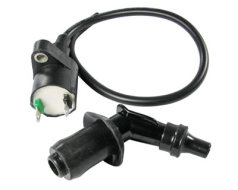 Ignition coil with spark plug cap