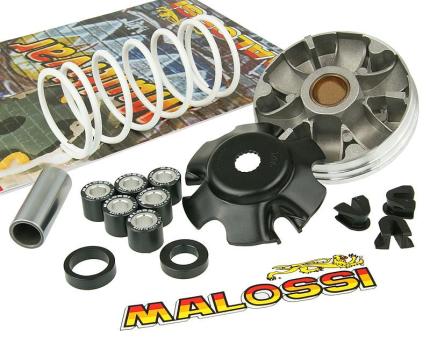 Variator Malossi Multivar 2000