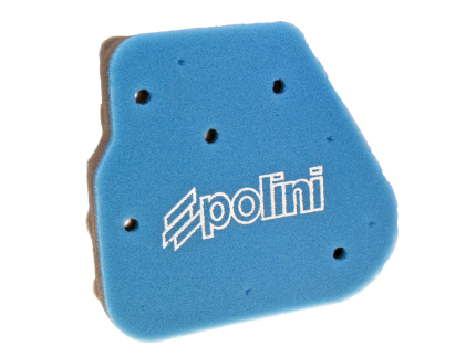 Air filter insert Polini