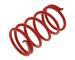 Compression / torque spring Malossi MHR Racing red