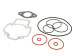 Cylinder gasket set with o-rings